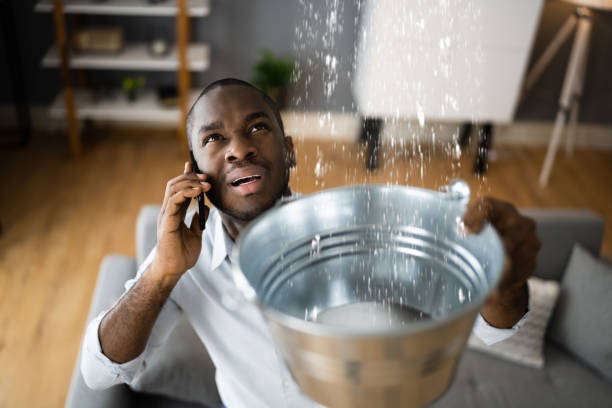 Best Sewage cleanup and water damage restoration  in Longbranch, WA