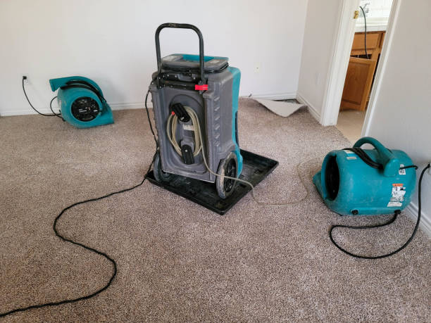 Best Emergency water damage restoration  in Longbranch, WA