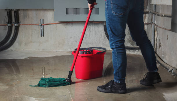 Best Professional water damage repair  in Longbranch, WA