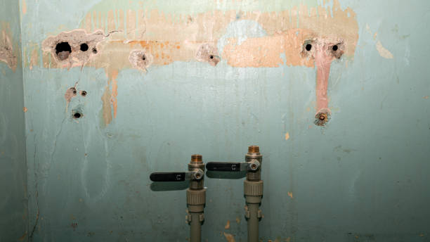 Best 24-hour water damage restoration  in Longbranch, WA