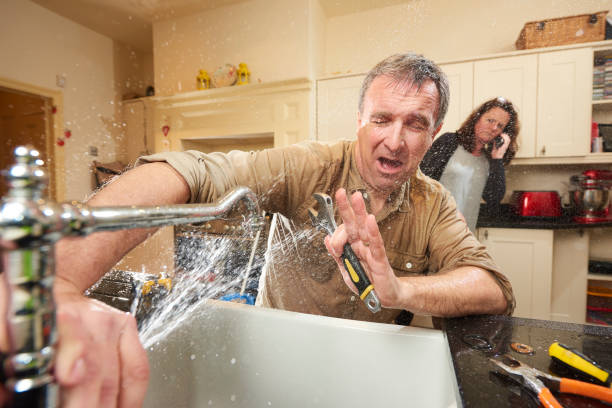 Best Water damage cleanup near me  in Longbranch, WA